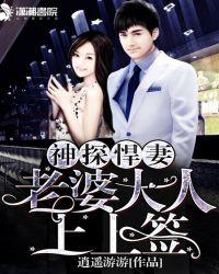 神探悍妻之老婆大人上上签全文免费