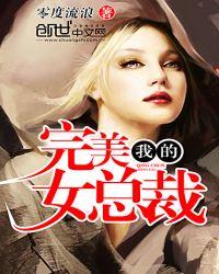 我的完美女总裁免费阅读