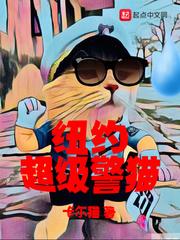 纽约 警察局